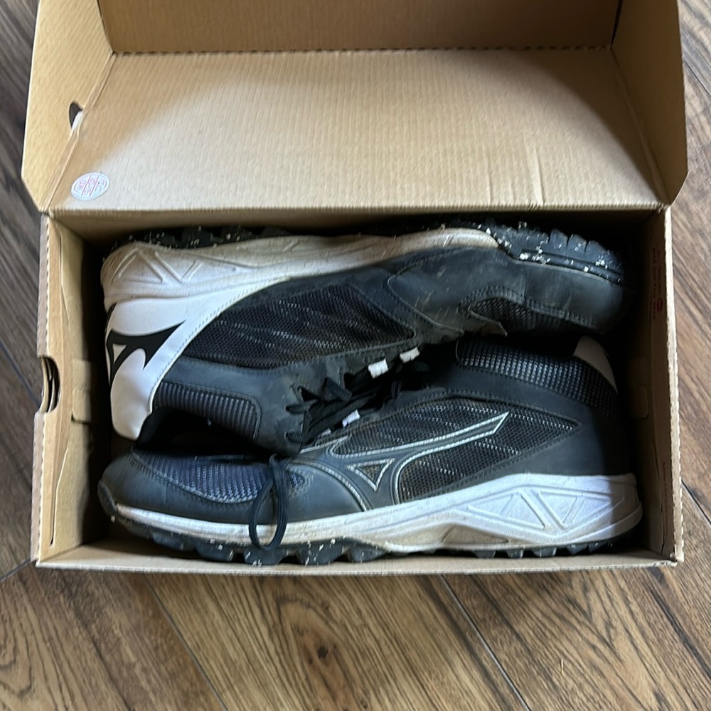 Mizuno Baseball Shoe